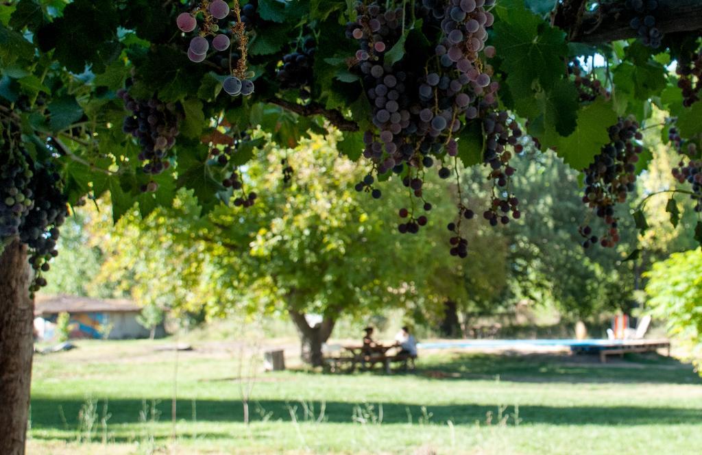 سان رافاييل Hosteria Rural Viejo Roble المظهر الخارجي الصورة