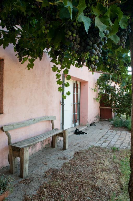 سان رافاييل Hosteria Rural Viejo Roble المظهر الخارجي الصورة